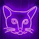 Dazed Cat Neon Sign