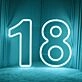Number Birthdays LED Neon Sign