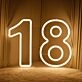 Number Birthdays LED Neon Sign