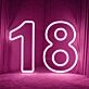 Number Birthdays LED Neon Sign