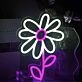 Cute Daisy Neon Light