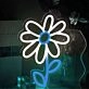 Cute Daisy Neon Light