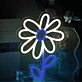 Cute Daisy Neon Light
