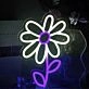 Cute Daisy Neon Light