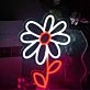 Cute Daisy Neon Light