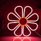 Sunrise Over the Sea Neon Light