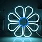 Sunrise Over the Sea Neon Light