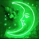 Moon Neon Light