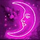 Moon Neon Light
