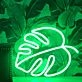 Monstera Leaf Neon Sign for Tropical and Plant Lovers