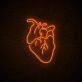 Actual Heart Neon Sign for Unique and Artistic Decor