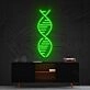 Dna Neon Sign for Science and Biology Enthusiasts