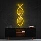Dna Neon Sign for Science and Biology Enthusiasts