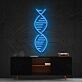 Dna Neon Sign for Science and Biology Enthusiasts