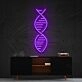 Dna Neon Sign for Science and Biology Enthusiasts