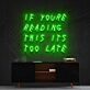 If You're Reading This It's Too Late Drake Neon Sign for Music Fans