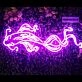 Koi Fish Neon Sign for Artistic and Tranquil Spaces