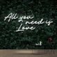 All You Need Is Love Neon Sign for Romantic and Loving Spaces