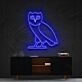October's Very Own Owl Neon Sign for Music Fans