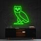 October's Very Own Owl Neon Sign for Music Fans