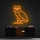 October's Very Own Owl Neon Sign for Music Fans