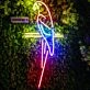 Parrot Neon Sign for Tropical and Fun Decor