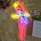 Parrot Neon Sign for Tropical and Fun Decor