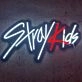 Stray Kids Neon Sign for K-Pop Fans
