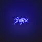 Stray Kids Neon Sign for K-Pop Fans