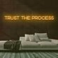 Trust the Process Neon Sign for Motivational and Inspirational Spaces