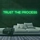 Trust the Process Neon Sign for Motivational and Inspirational Spaces