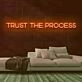 Trust the Process Neon Sign for Motivational and Inspirational Spaces