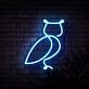 Owl Neon Sign for Nature and Whimsical Decor