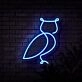 Owl Neon Sign for Nature and Whimsical Decor