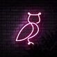 Owl Neon Sign for Nature and Whimsical Decor