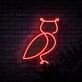 Owl Neon Sign for Nature and Whimsical Decor