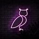 Owl Neon Sign for Nature and Whimsical Decor