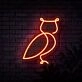 Owl Neon Sign for Nature and Whimsical Decor
