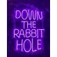 Down The Rabbit Hole Neon Sign for Whimsical and Fun Spaces