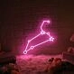 'Leo' neon sign