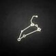 'Leo' neon sign
