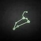 'Leo' neon sign