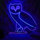 Drake Octobers Very Own Owl Neon Sign for Music Fans