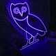 Drake Octobers Very Own Owl Neon Sign for Music Fans