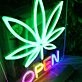 Marijuana Open Neon Sign for Cannabis Enthusiasts