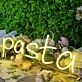 Pasta Neon LED Sign for Italian Restaurants and Cafes