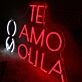 TE AMO TEQUILA Red Neon Sign for Fun and Social Spaces