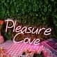 Pleasure Cove Pink Neon Sign for Relaxation and Fun Spaces