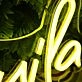 Tacos And Tequila Yellow Neon Sign for Fun and Social Spaces