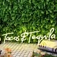 Tacos And Tequila Yellow Neon Sign for Fun and Social Spaces
